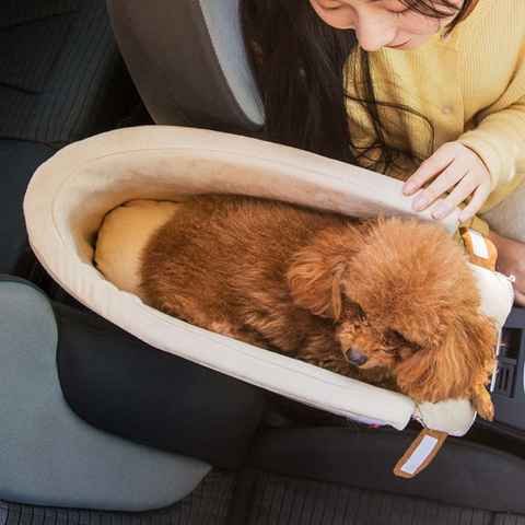 Scaun Auto Pentru Animale — Transport Sigur Și Confortabil