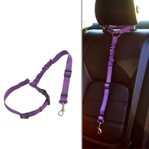 Adjustable Safety Strap for Dog – Special Car