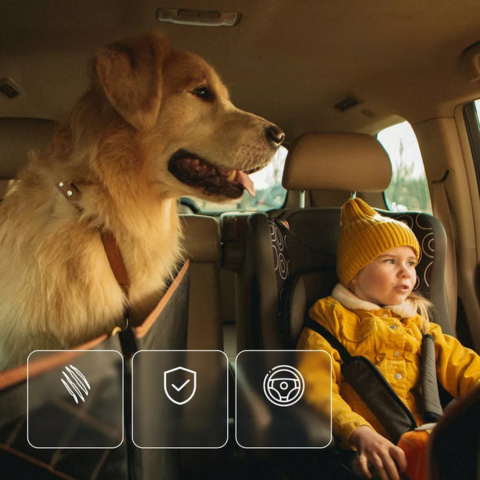 Autós Ülés Huzat Kutyáknak — Kényelem & Biztonság A Mindennapokban