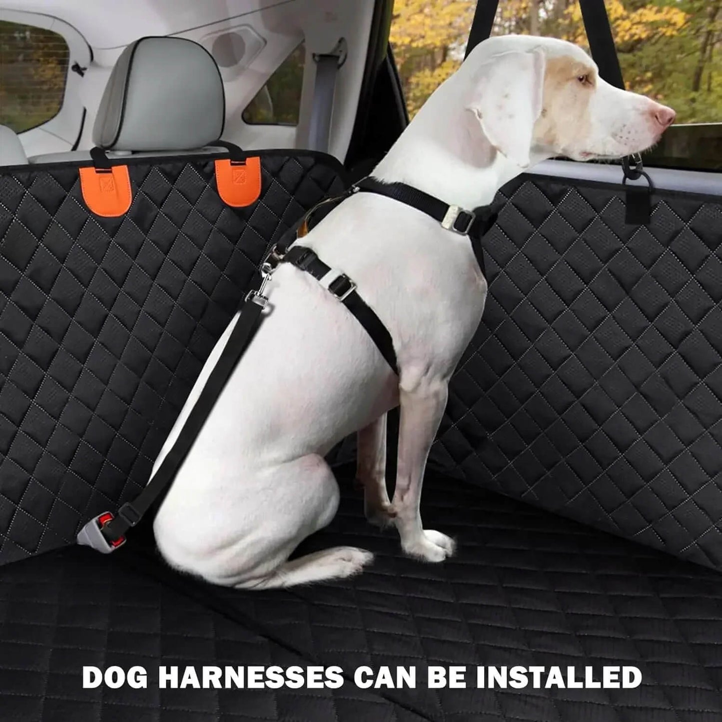 Housse De Siège Voiture Pour Chien – Étanche & Antidérapante Avec Harnais De Sécurité