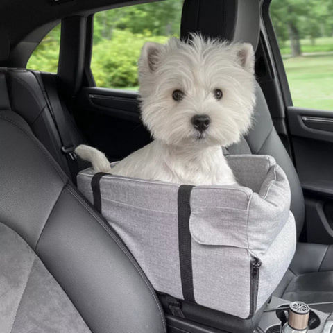 Seggiolino Auto Per Animali — Trasporto Sicuro E Confortevole 