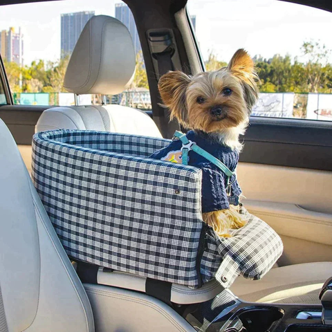 Seggiolino Auto Per Animali — Trasporto Sicuro E Confortevole 