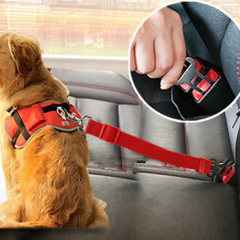 Cintura Di Sicurezza Per Cani – Viaggi In Tutta Serenità 