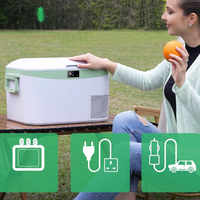 Electric Cooler For Car – Compact And Versatile 