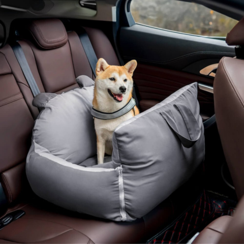 Travel Basket for Dog – Versatile and Easy to Transport 