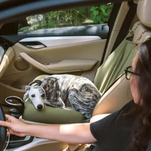 Seggiolino Auto Posteriore Per Cani – Installazione Facile E Stabilità 