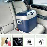 Electric Cooler For Car – Compact And Versatile 